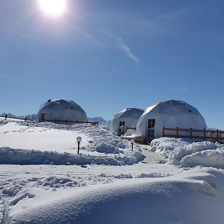 Glamping Pasieka Namiot Glamp Bukowina Tatrzanska - Domki W Gorach Groń Εξωτερικό φωτογραφία