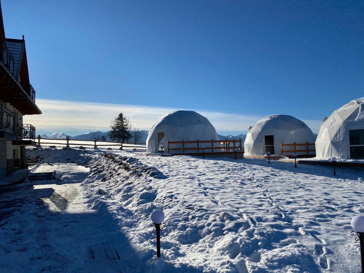 Glamping Pasieka Namiot Glamp Bukowina Tatrzanska - Domki W Gorach Groń Εξωτερικό φωτογραφία
