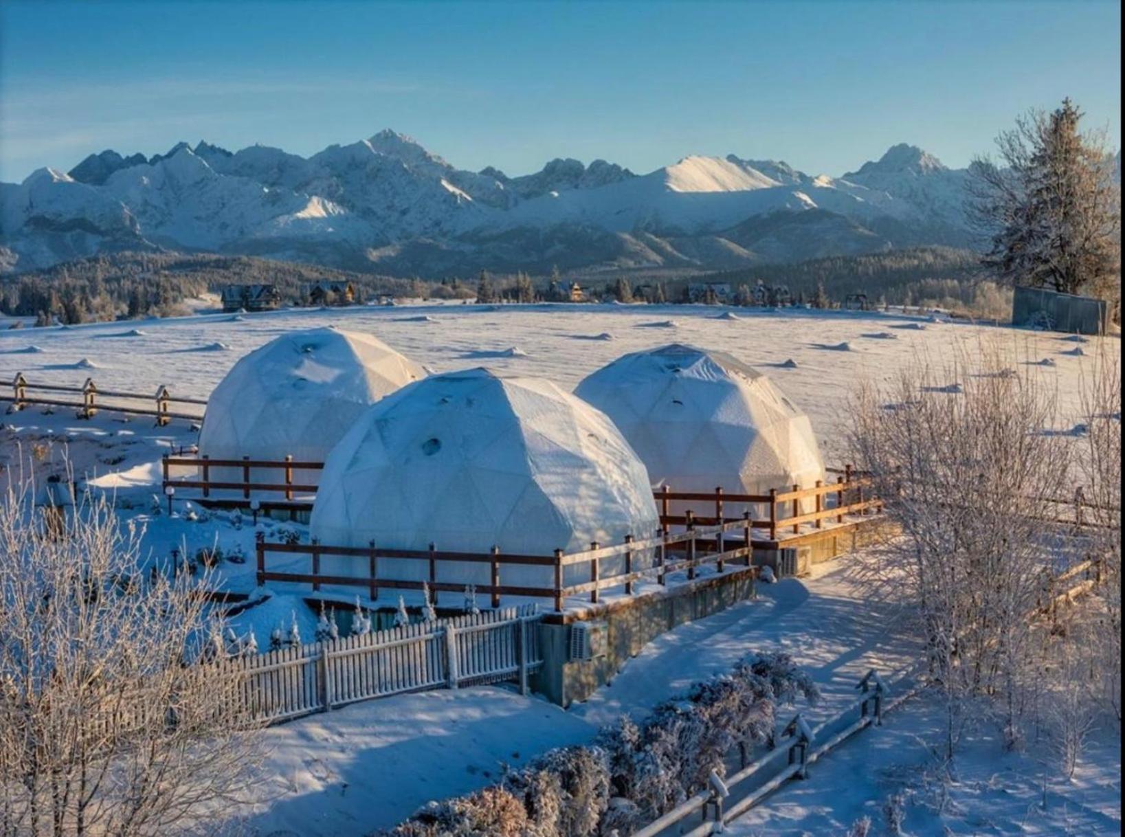 Glamping Pasieka Namiot Glamp Bukowina Tatrzanska - Domki W Gorach Groń Εξωτερικό φωτογραφία
